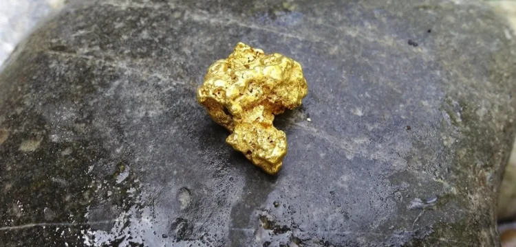 gold maraldy